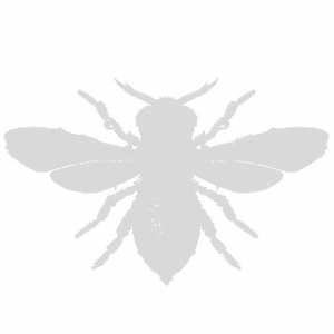 88203637_214145426397705_1621787785637658624_n copy